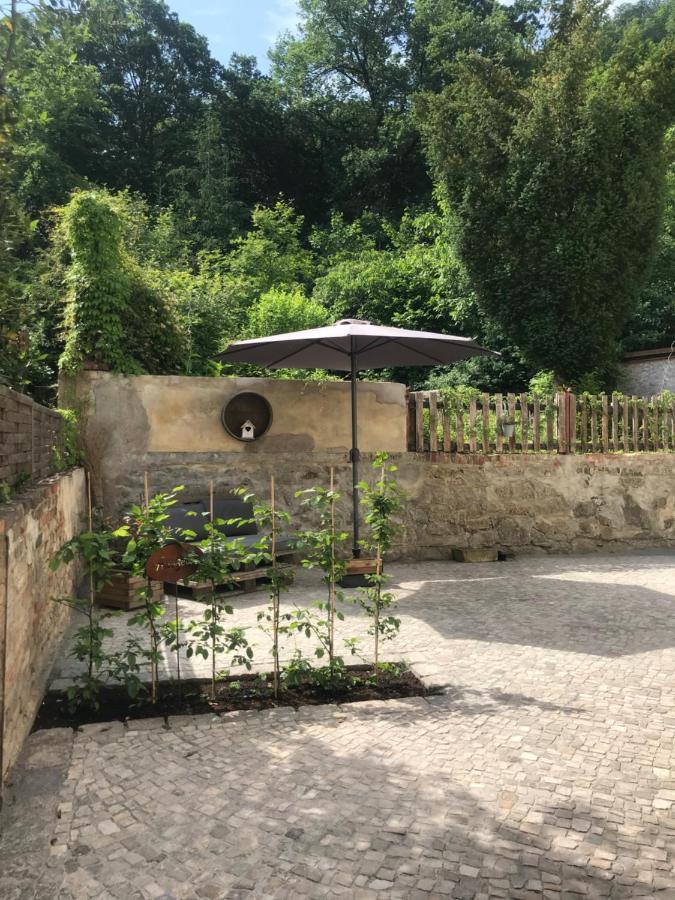 Villa Hanne mit Garten, Terrasse, Sky, Netflix Thale Exterior foto